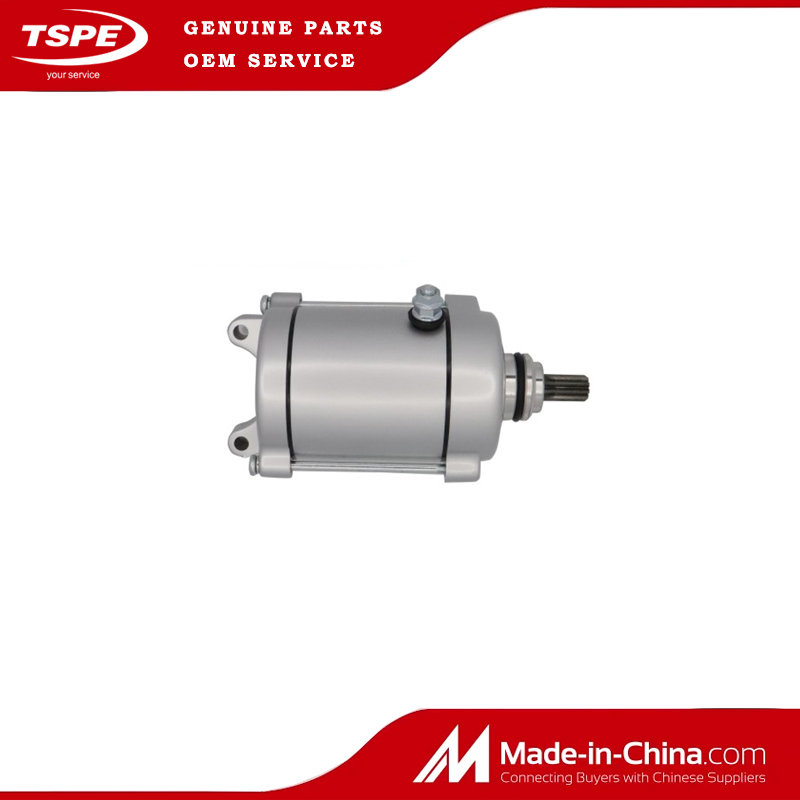 Motorcycle Parts Motorcycle Starter Motor for AKT 125
