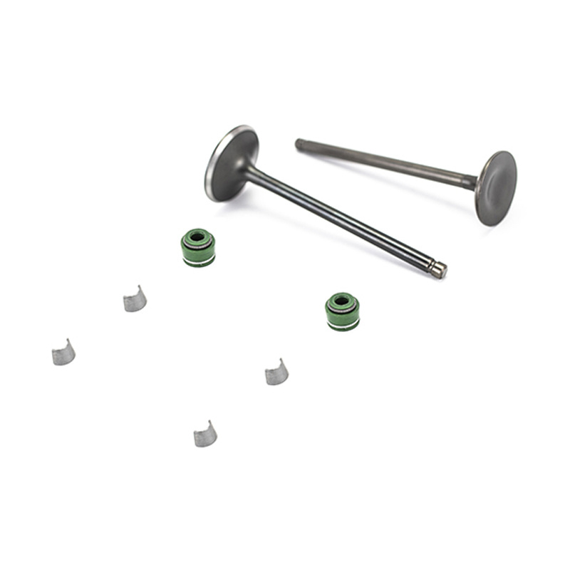 Motorcycle Engine Parts Intake Exhaust Valve Set for Ex200