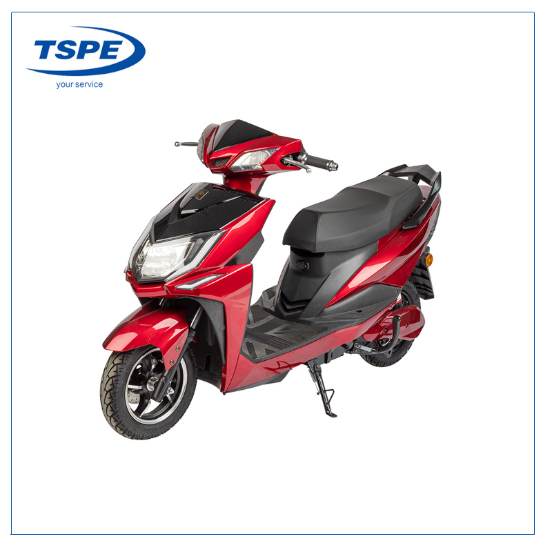60V 1000W Electric Scooter TS-04