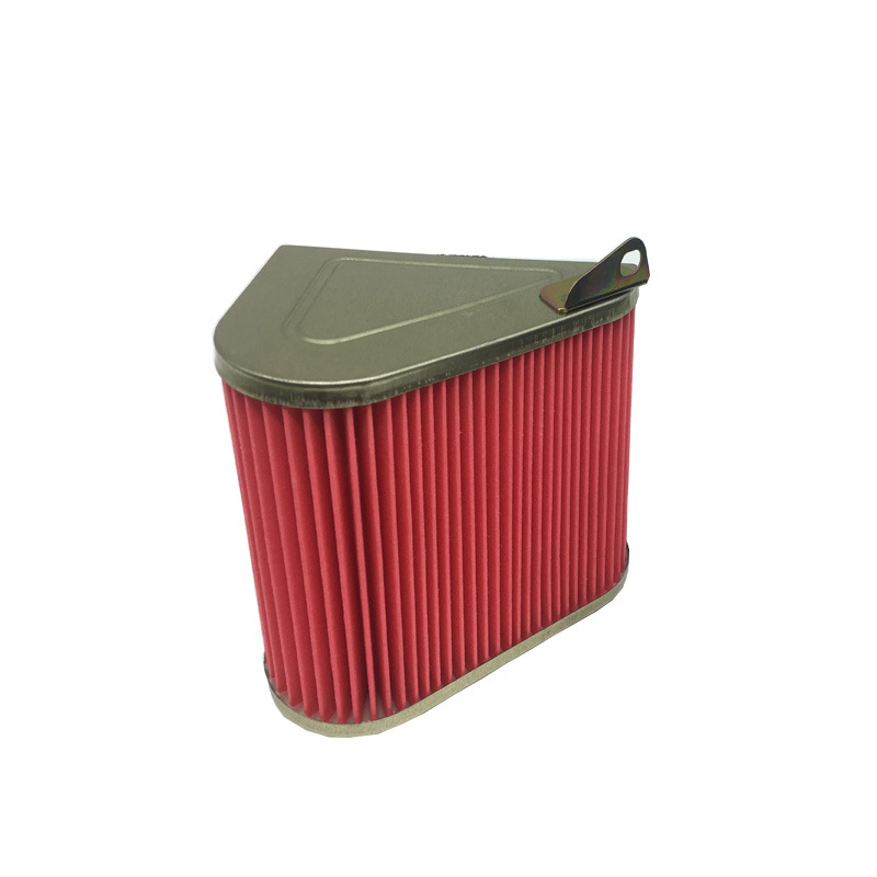 High Quality Motorcycle Parts Air Filter for DSG- 125 17
